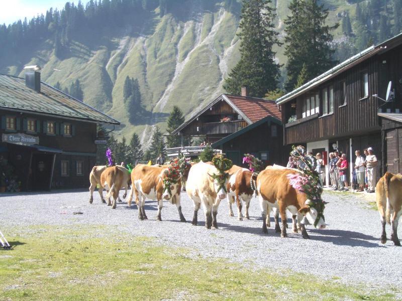 Berggasthof Obere Firstalm Schliersee Dış mekan fotoğraf