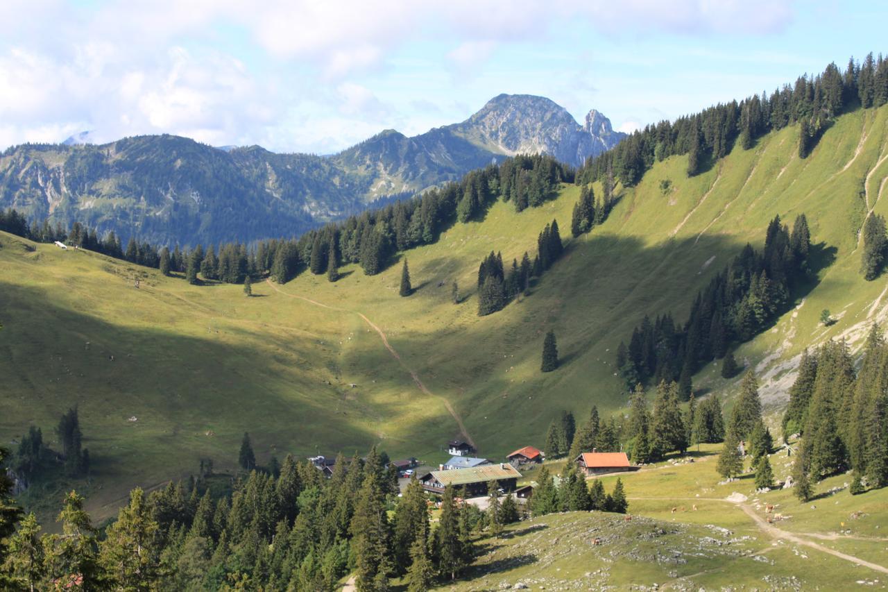 Berggasthof Obere Firstalm Schliersee Dış mekan fotoğraf